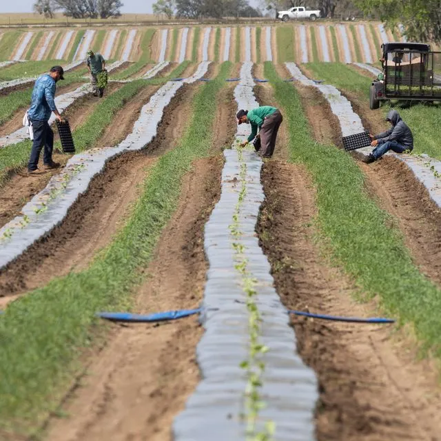 thumbnail for publication: Recruiting and Retaining Members in Agricultural Organizations